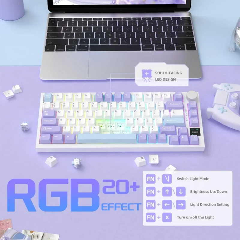 Sebf356f473a2435fb36bca4d16567e528-2.webp